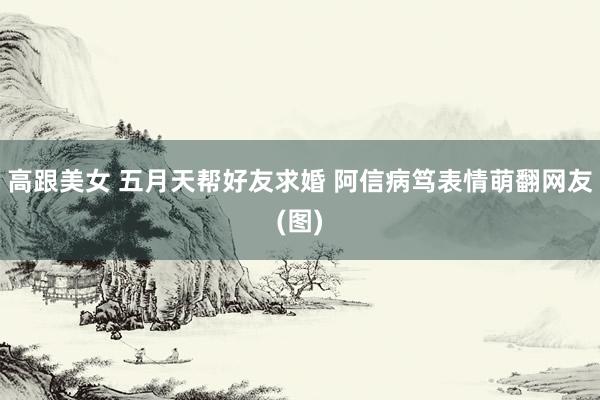 高跟美女 五月天帮好友求婚 阿信病笃表情萌翻网友(图)