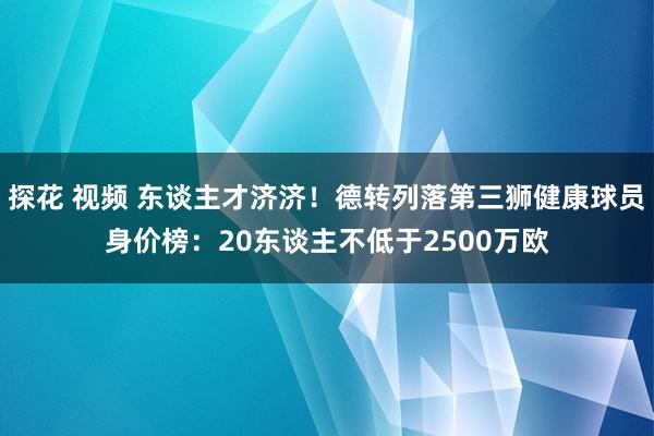 探花 视频 东谈主才济济！德转列落第三狮健康球员身价榜：20东谈主不低于2500万欧
