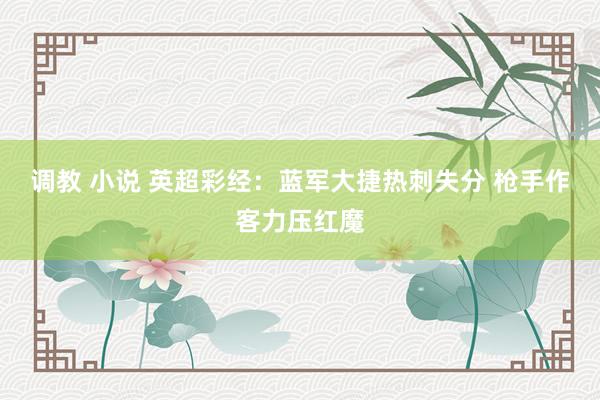 调教 小说 英超彩经：蓝军大捷热刺失分 枪手作客力压红魔