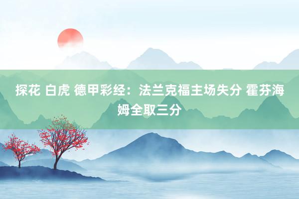 探花 白虎 德甲彩经：法兰克福主场失分 霍芬海姆全取三分