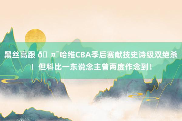 黑丝高跟 🤯哈维CBA季后赛献技史诗级双绝杀！但科比一东说念主曾两度作念到！