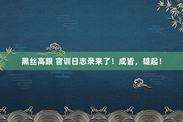 黑丝高跟 官训日志录来了！成皆，雄起！